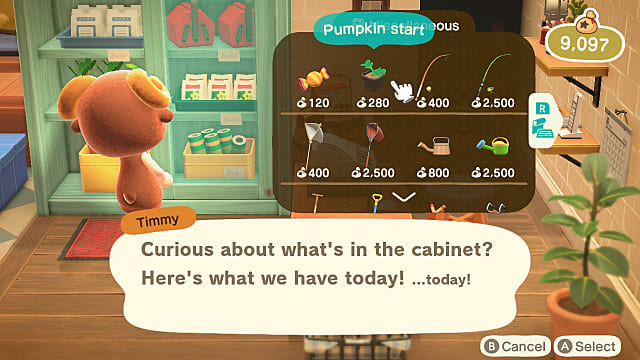 Animal Crossing New Horizons Pumpkins Guide  How to Grow Them   Animal Crossing  New Horizons - 70