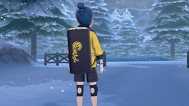 How to Start Pokemon Sword and Shield s Crown Tundra DLC - 97