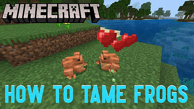 Minecraft: How to Tame Frogs | Minecraft Minecraft: How to Tame Frogs | Minecraft