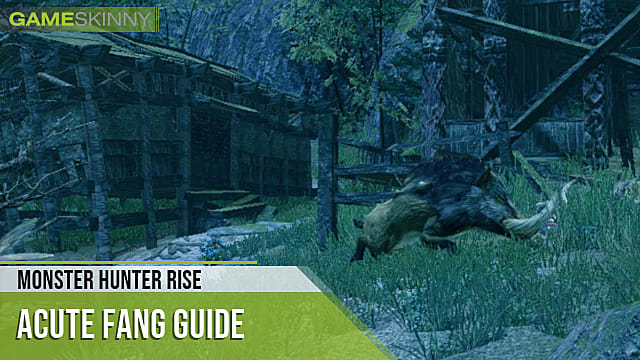 Monster Hunter Rise How to Get Acute Fang Monster Hunter Rise - 28