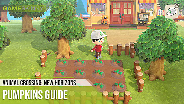 Animal Crossing New Horizons Pumpkins Guide  How to Grow Them   Animal Crossing  New Horizons - 14