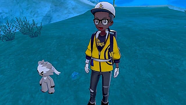 Pokemon Isle of Armor  How to Get Kubfu and Evolve It into Urshifu - 3