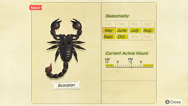 Animal Crossing New Horizons  Scorpion Catching Guide - 6