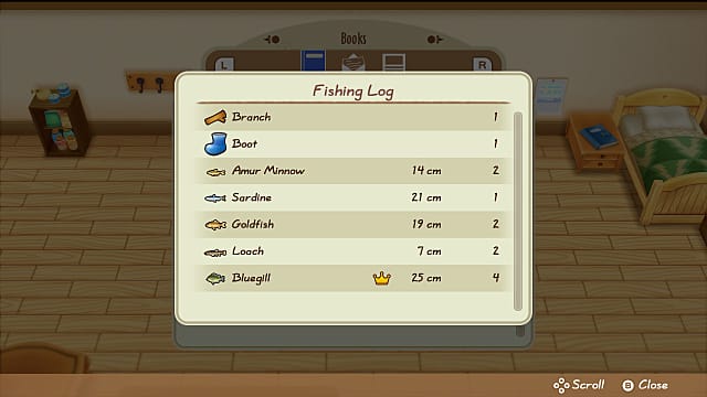 SoS  Friends of Mineral Town Kappa Marriage and More Guide   Story of Seasons  Friends of Mineral Town - 42