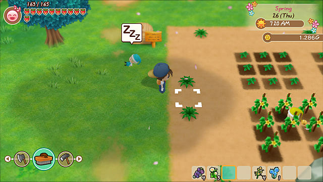 SoS  Friends of Mineral Town Crop Guide - 44