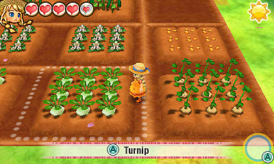 harvest moon tale of two towns fertilizer