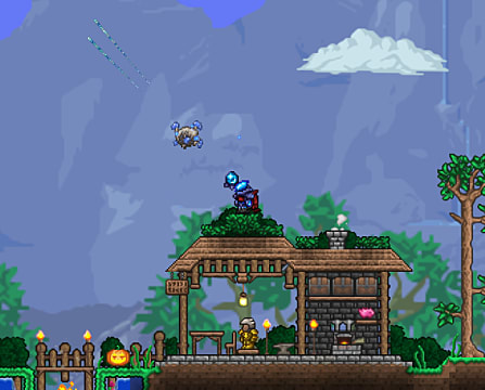 terraria modded character