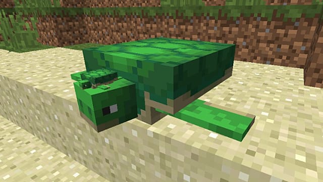 How To Breed Turtles In Minecraft Minecraft