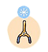 Cozy Grove  How to Get and Use Dowsing Rod   Cozy Grove - 40