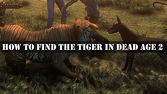 How to Find the Tiger in Dead Age 2   Dead Age 2 - 44