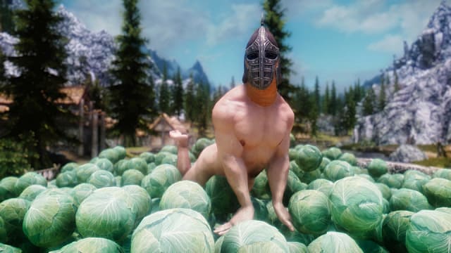 skyrim mods to make the game look better