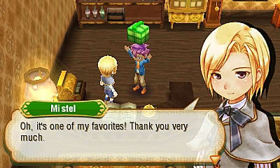 story of seasons a wonderful life bachelor