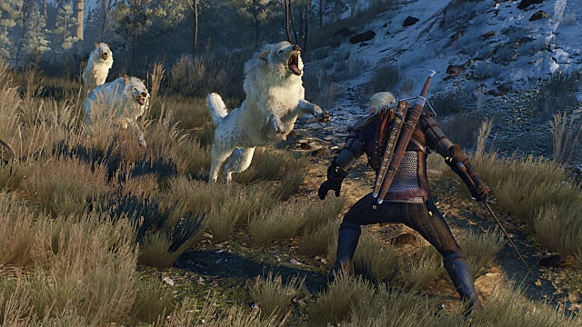 The Witcher 3 Patch Stops PS4 Players from Earning Quest Experience The Witcher 3 Wild Hunt - 68
