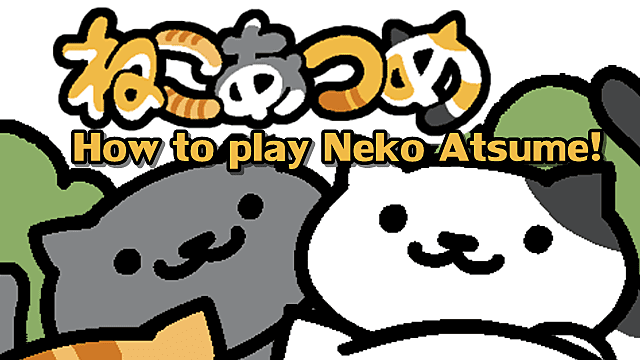 neko japanese