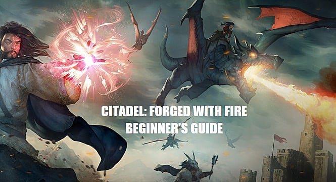 Citadel Forged With Fire Level 1 20 Beginner S Tips Guide Citadel Forged With Fire - broken bones roblox tips