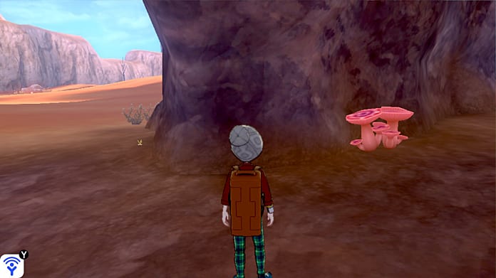 Max Mushrooms Pokemon Isle Of Armor Guide