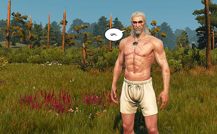 Witcher 3 Penis Mod