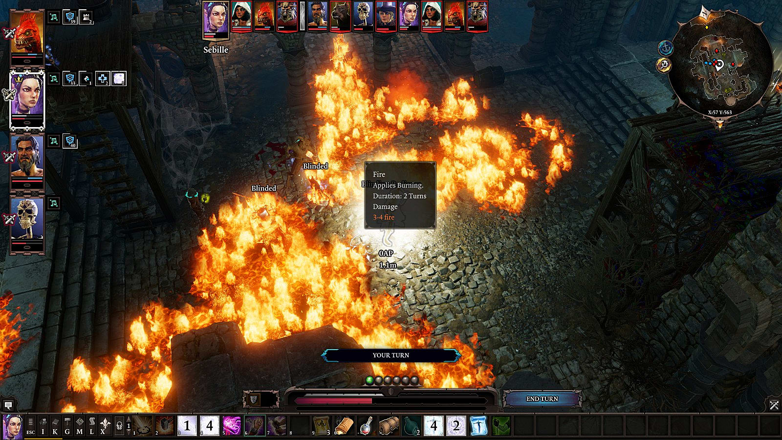 divinity original sin 2 burning pigs