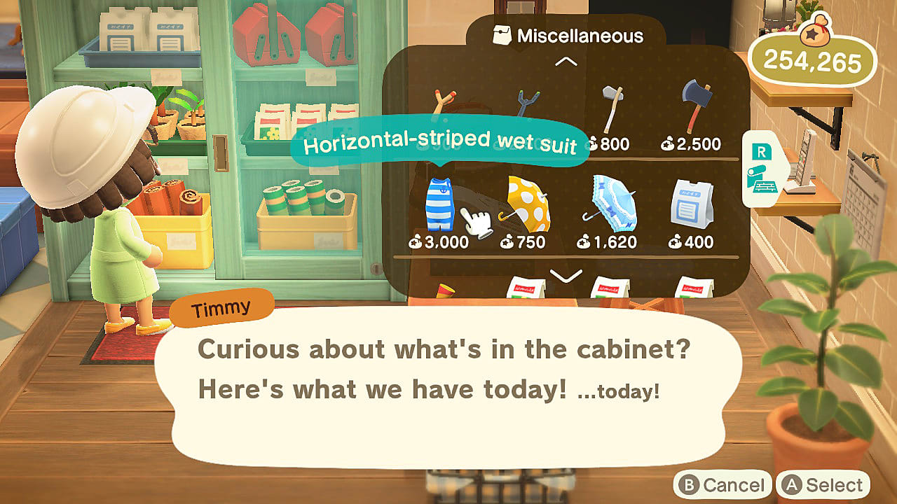 How to Get the Wet Suit in Animal Crossing New Horizons Animal