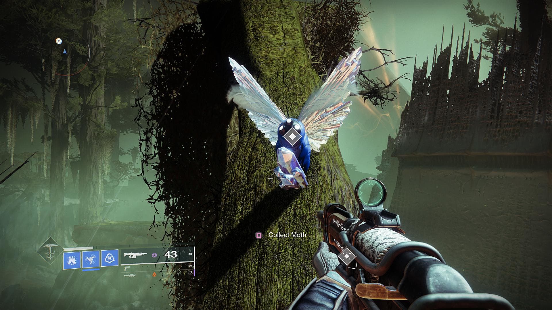 Destiny 2: Where to Find Lucent Moth Locations Destiny 2