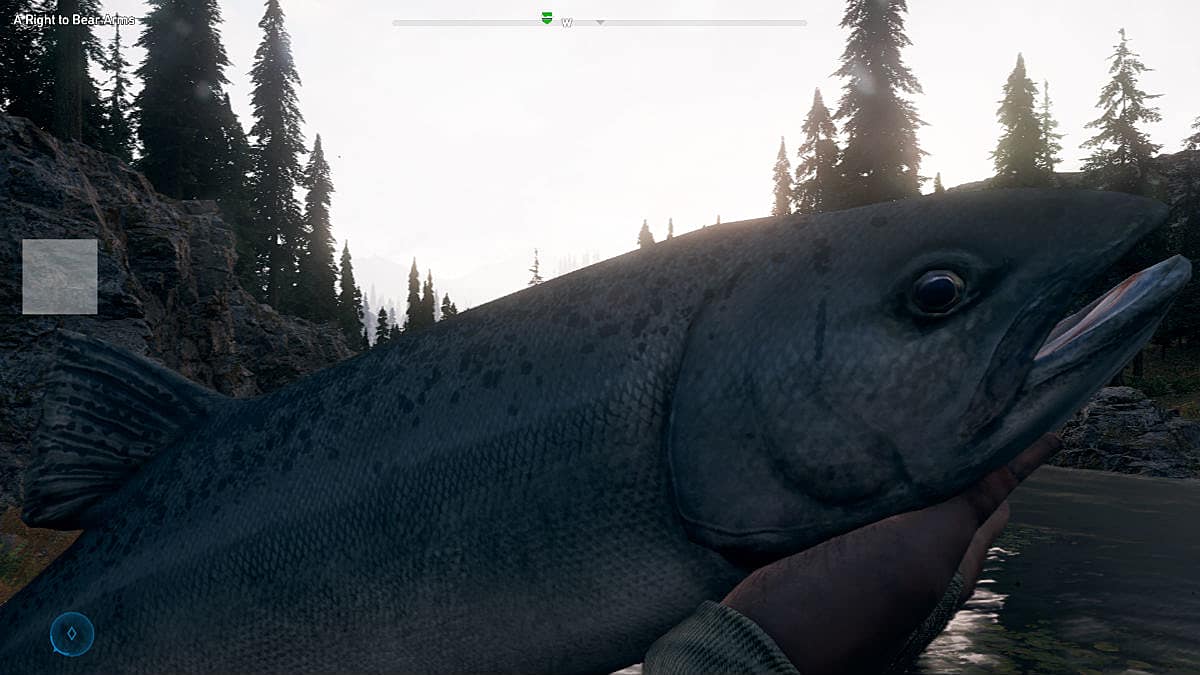 How To Get Fishing Bait Far Cry 5