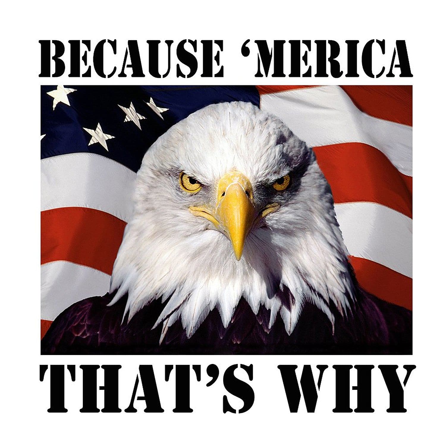america-4c58a.jpg
