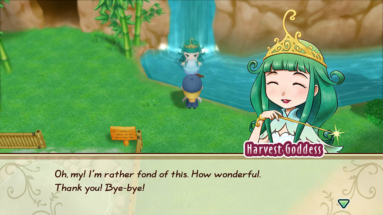 harvest moon friends of mineral town money cheats