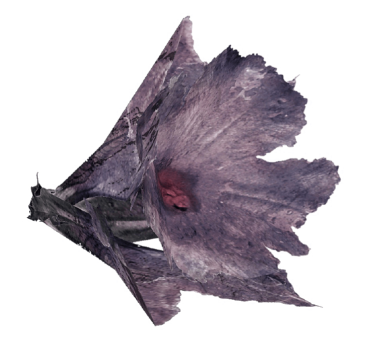 All Fallout 76 Flower and Blossom Locations Fern, Tato, Gourd Fallout 76