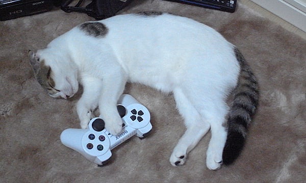 Top 12 Greatest Cats Of Video Games