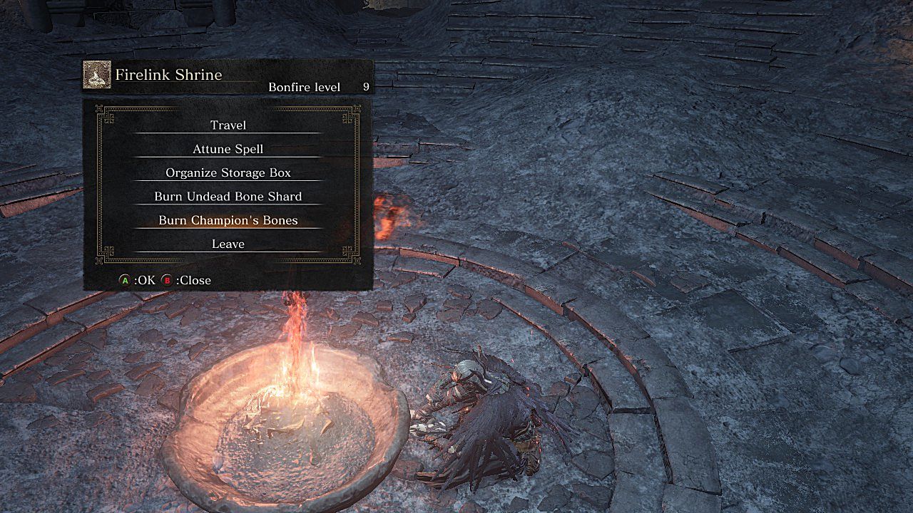 dark souls 3 undead bone shard