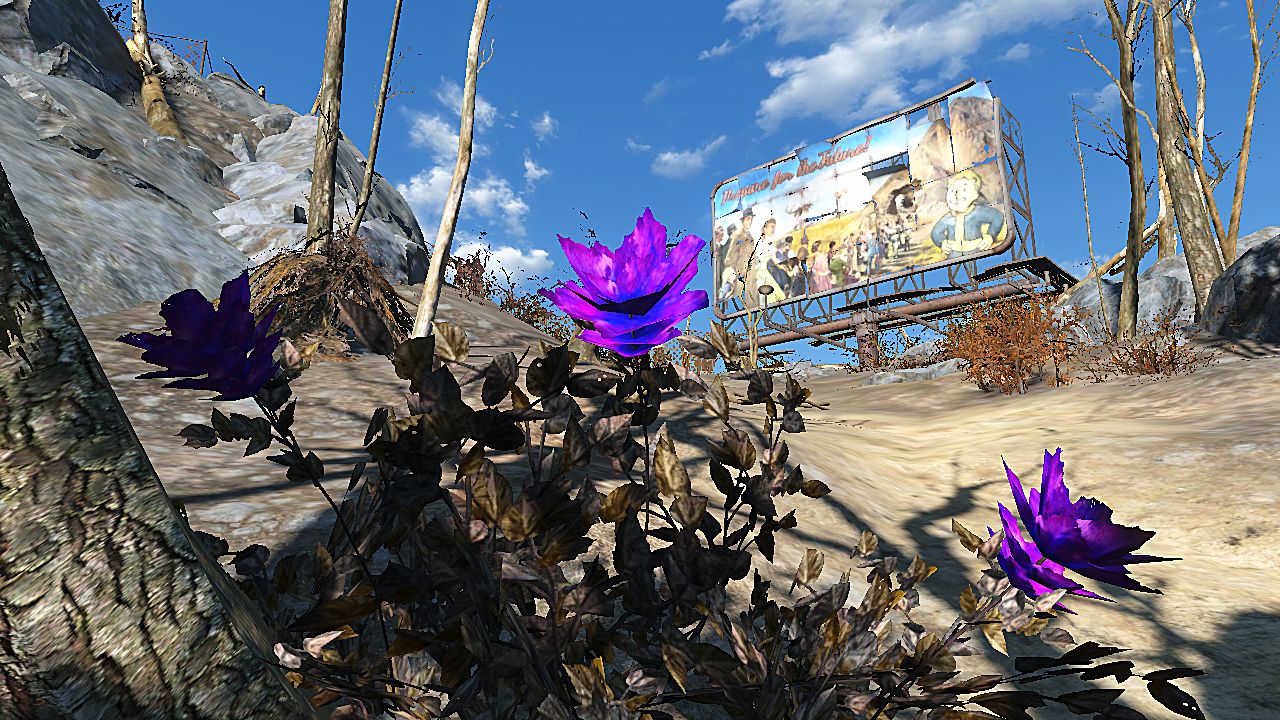 Fallout 4 wild plants regrow Fallout 4 wild plants regrow