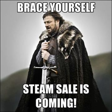 Help Your Wallet Stay out of the ER  Managing Money through the Steam Summer Sale - 96