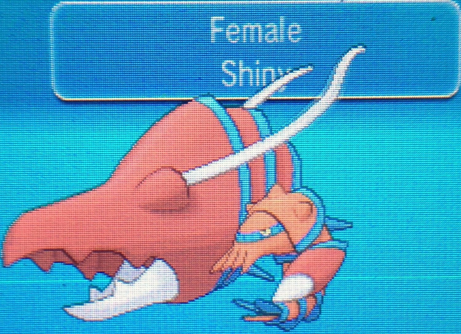 Catch Shinies Easily in Pokemon X and Y Pokémon X and Y