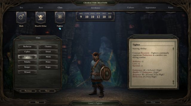 pillars of eternity ps4 character builder