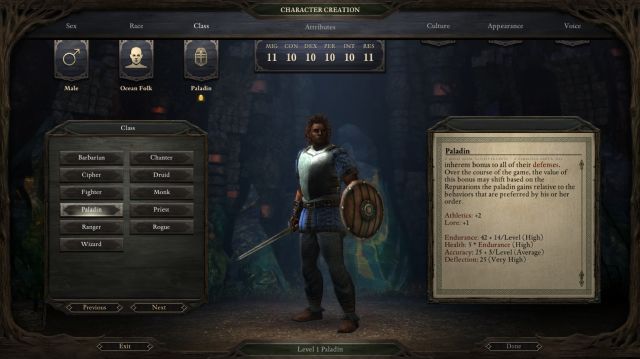 pillars of eternity ps4 character builder pillars of eternity ps4 character builder