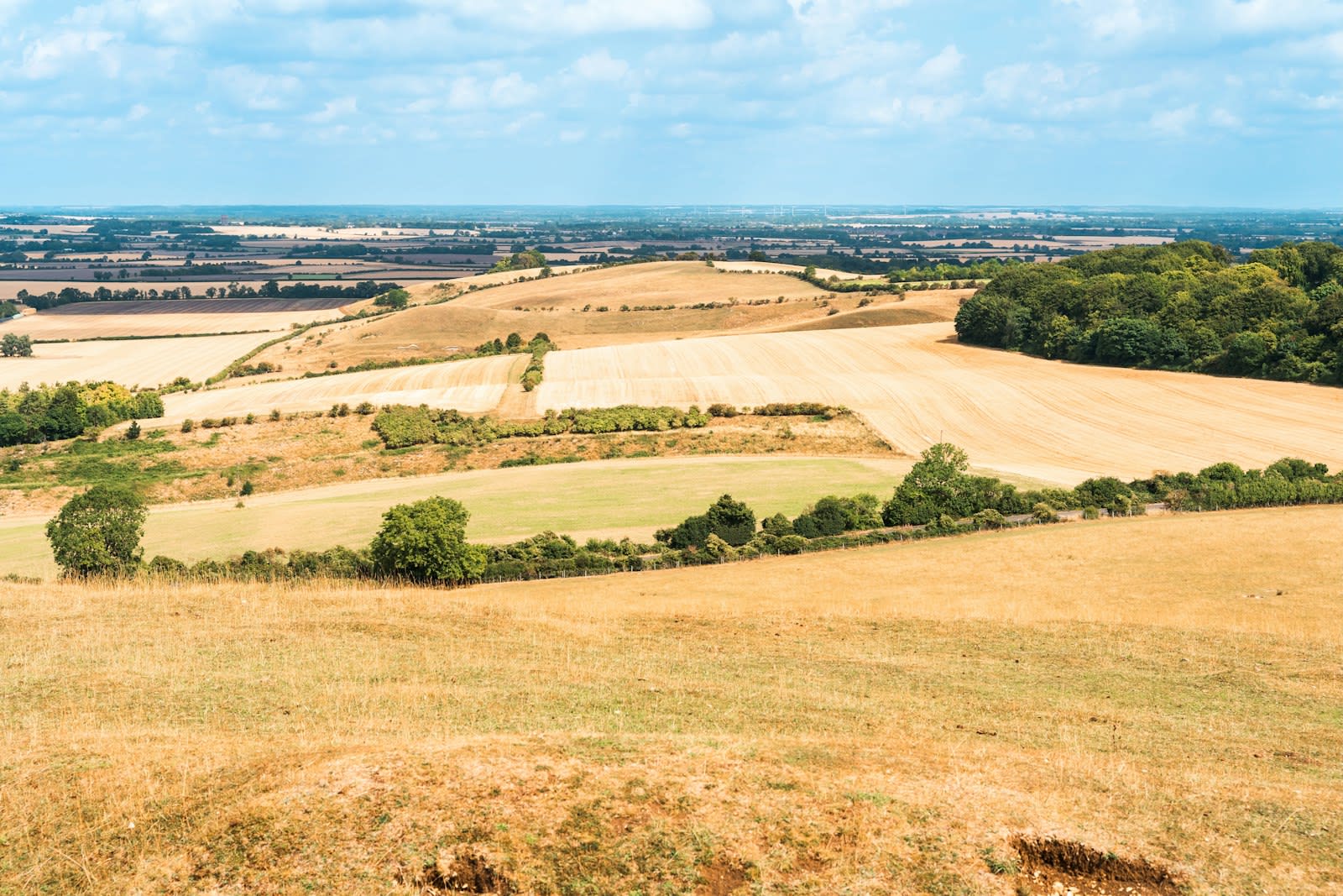 Hertfordshire