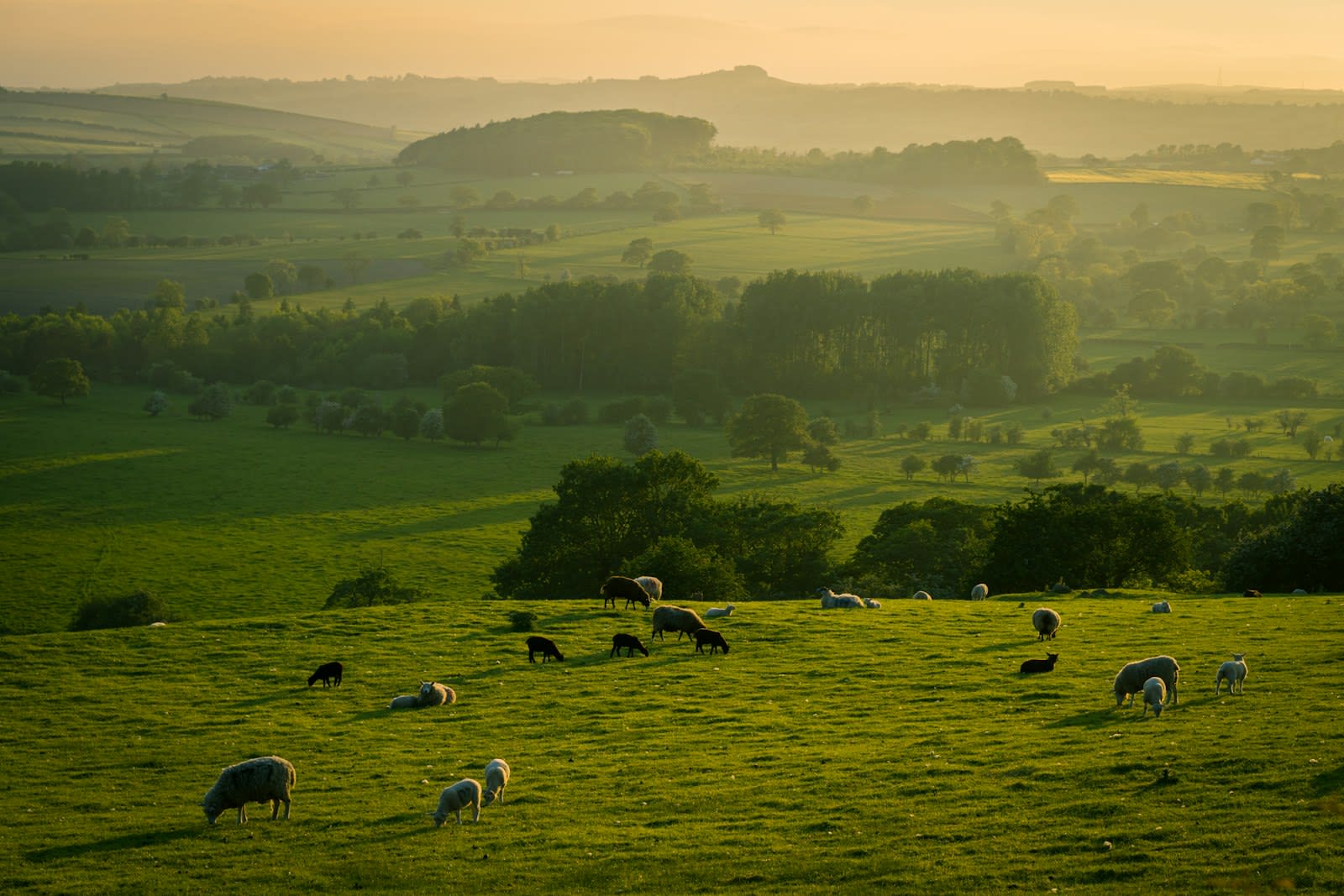 North Yorkshire