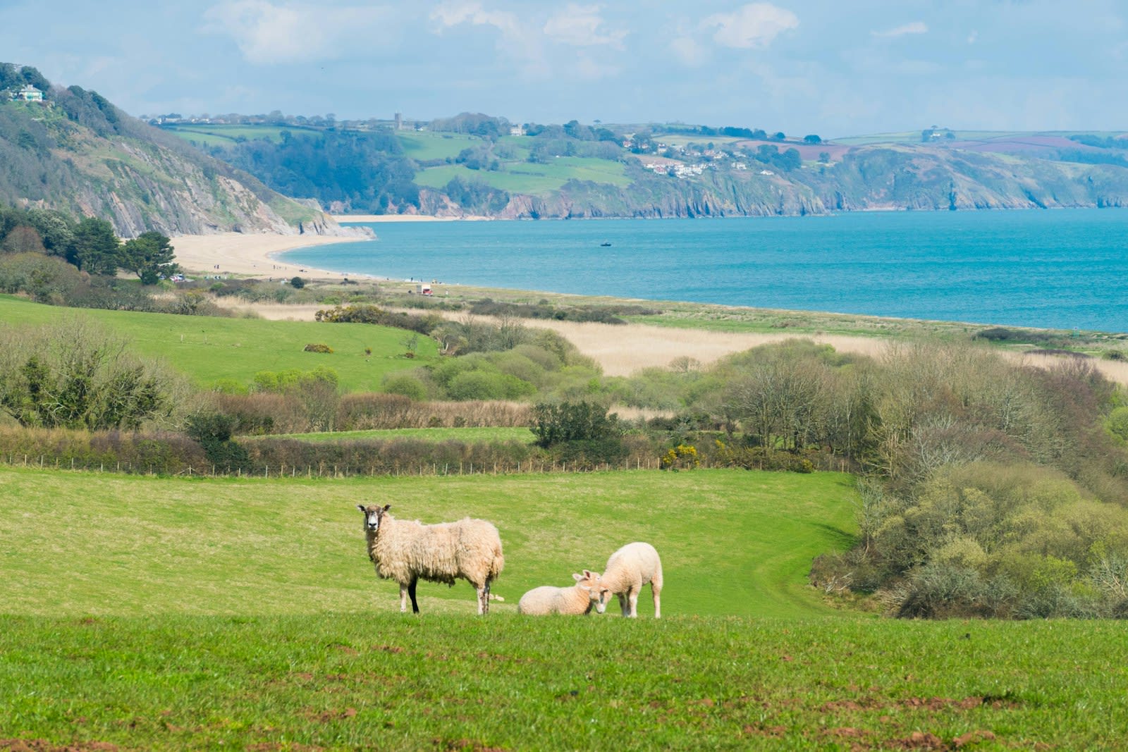 Devon
