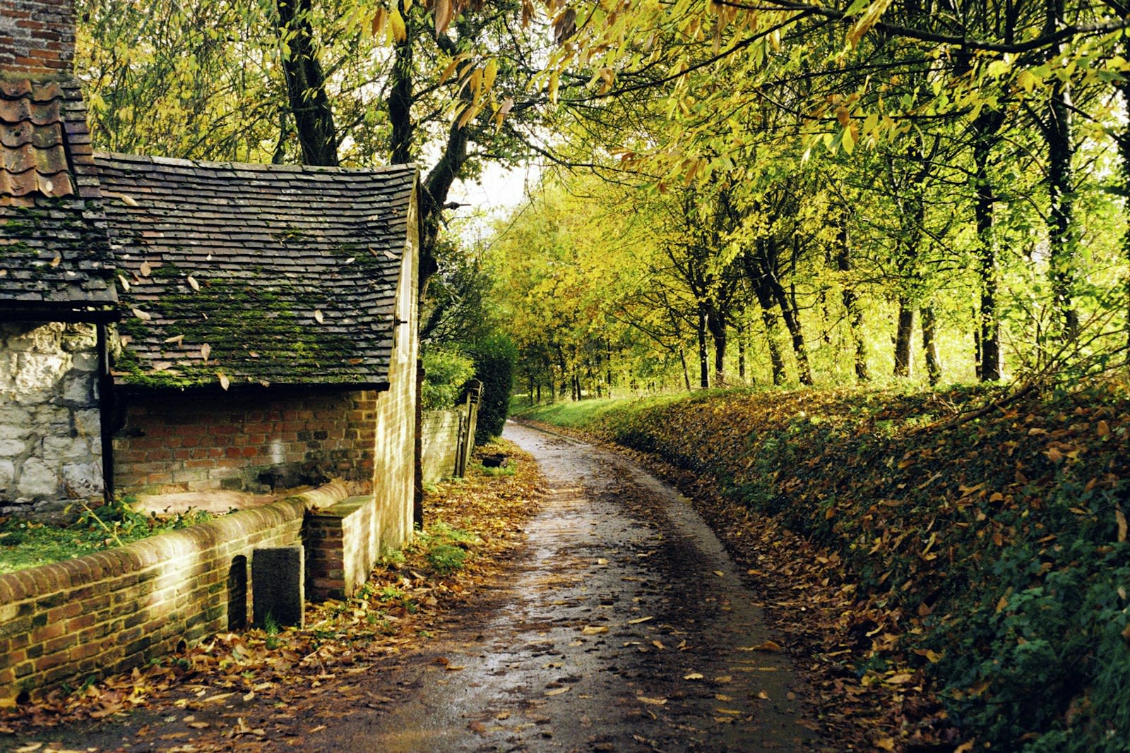 Hampshire