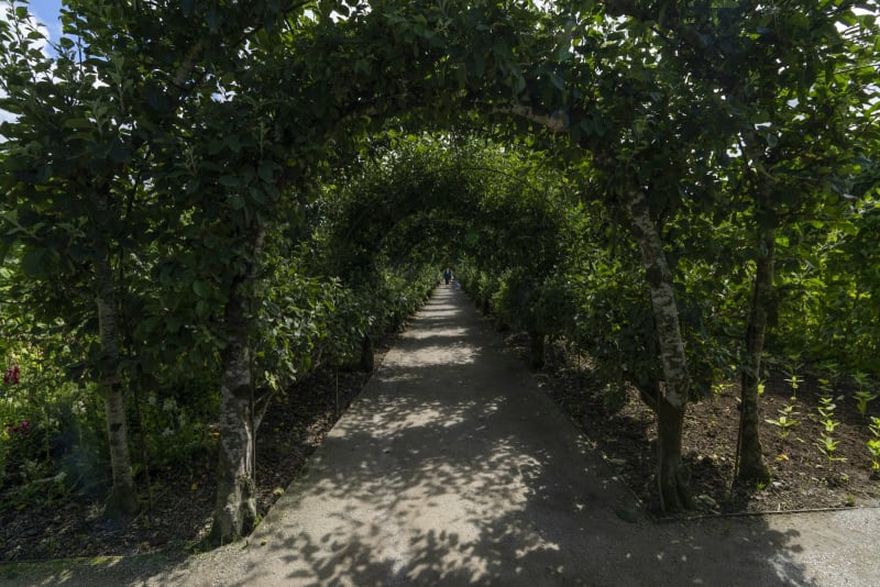 Lost Gardens of Heligan
