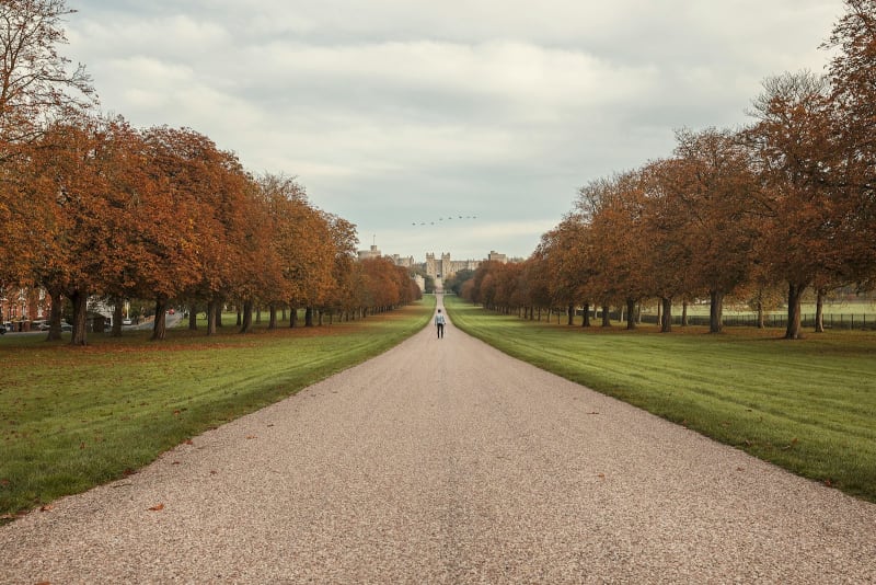 Windsor