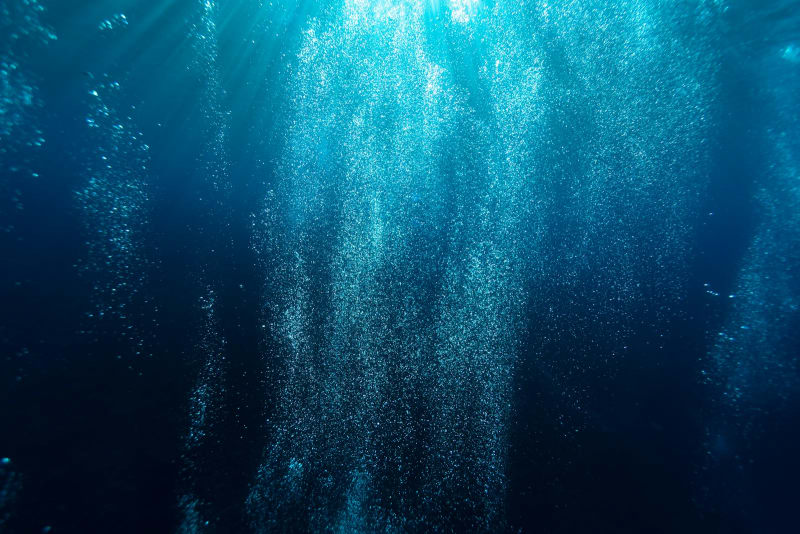 The Deep
