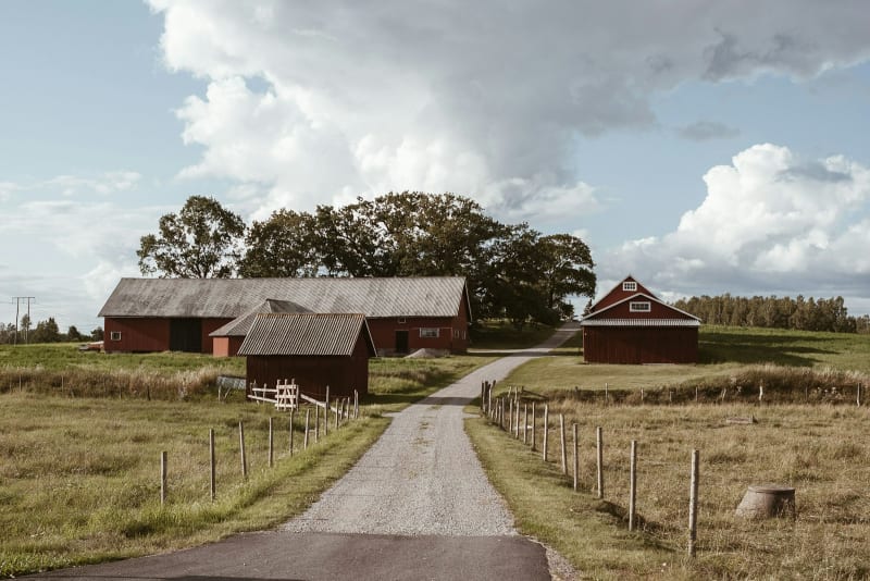 Healeys Cyder Farm