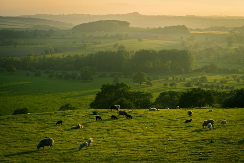 North Yorkshire