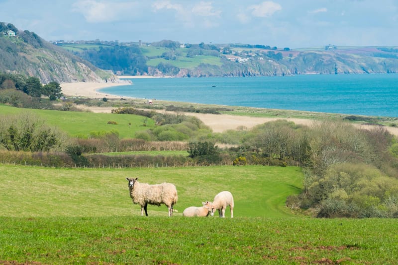 Devon