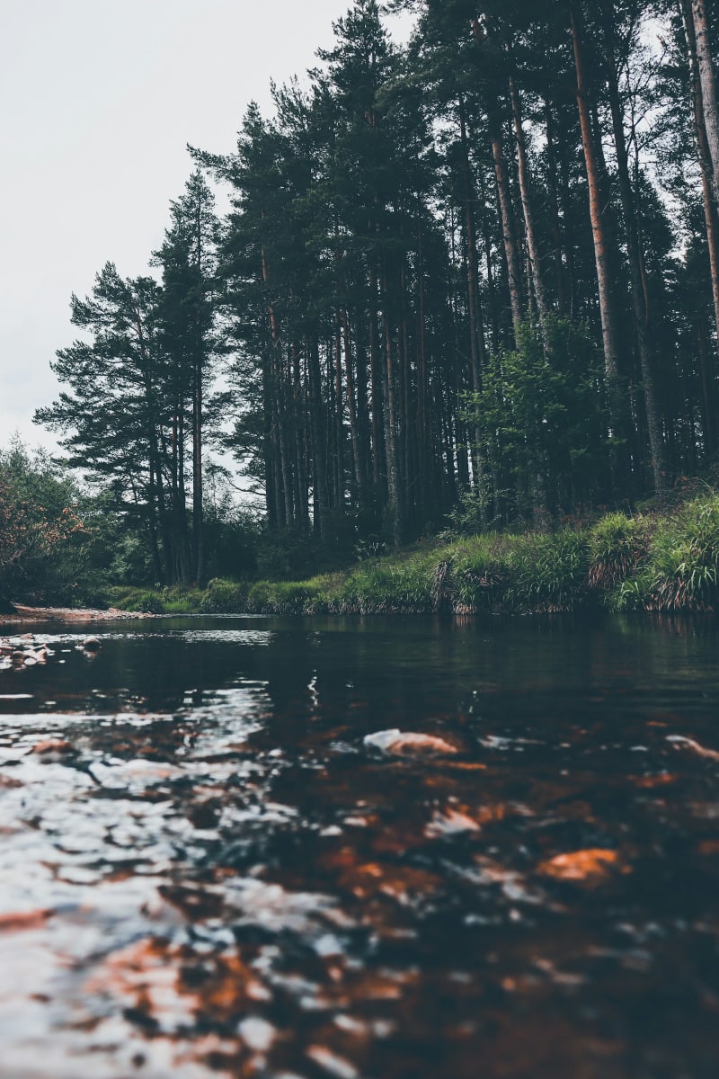 Grantown-on-Spey