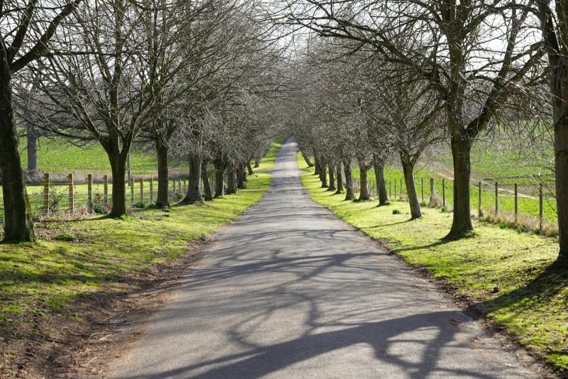 Surrey
