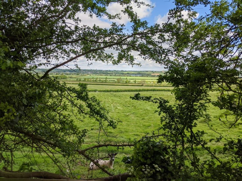 Leicestershire