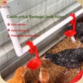 Foto Lintu-A9 Cup Drinker Otomatis Ayam Broiler 3/4 Inci 1000 pcs sudut 2 - InfoBroiler