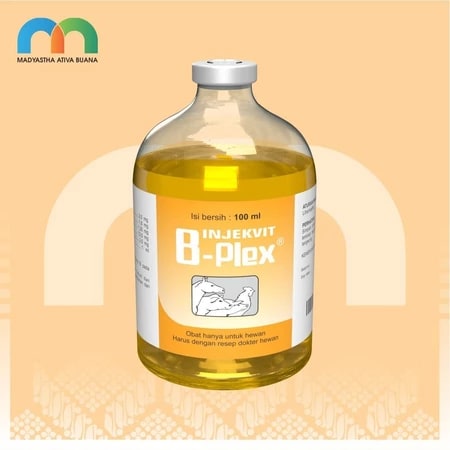 Foto Inj Vit B Komp Btl 100 Ml Medion Multivitamin Ayam - InfoBroiler